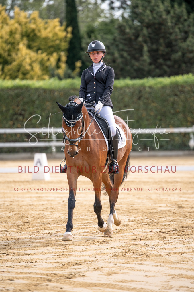 Schugtsche-Aluta25-40.DressurprfA_-177 | Schugtsche Fotografie - Realisiert mit Pictrs.com