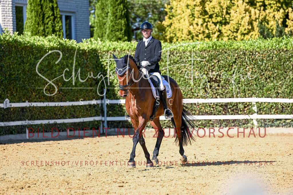 Schugtsche-Aluta25-50.Dressurpferdeprf.L-267 | Schugtsche Fotografie - Realisiert mit Pictrs.com