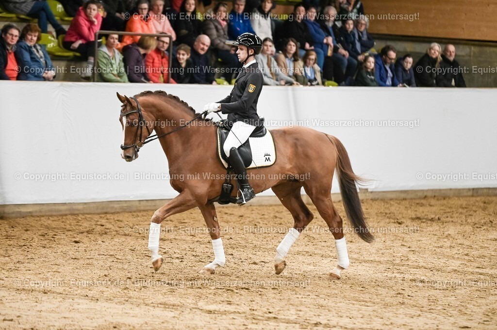 20260307_Hengstvorstellung-Marbach_0232 | equistock