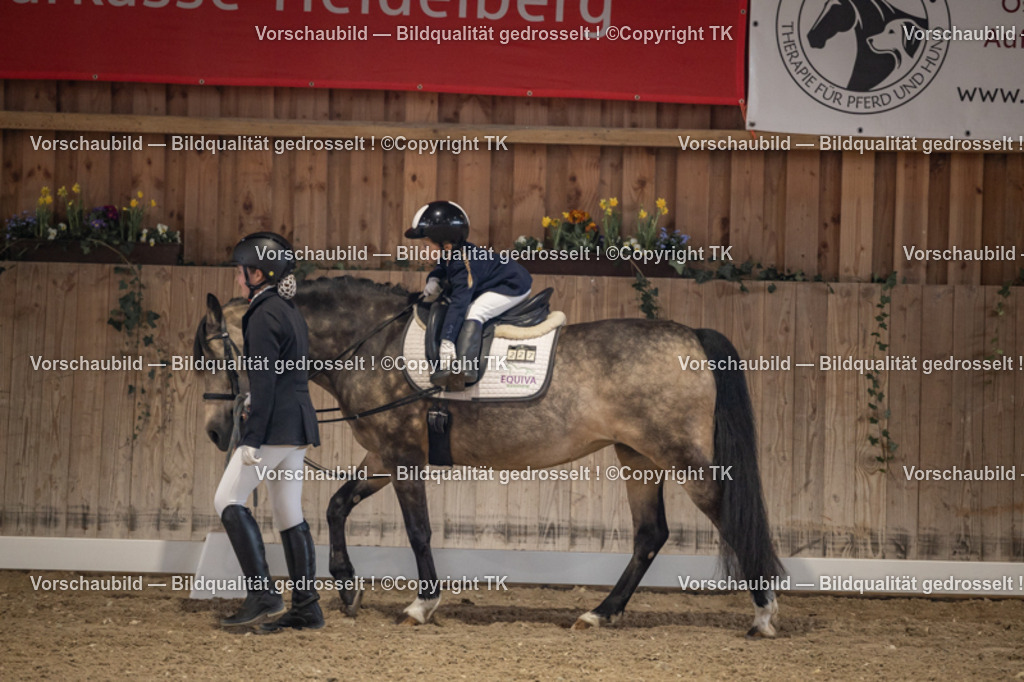 _D5A5403 | Emotionale Pferde- & People-Fotografie rund um Heidelberg, Leimen & Umgebung. Natürliche Fotos von Pferd, Mensch & Familie. Jetzt Termin sichern!