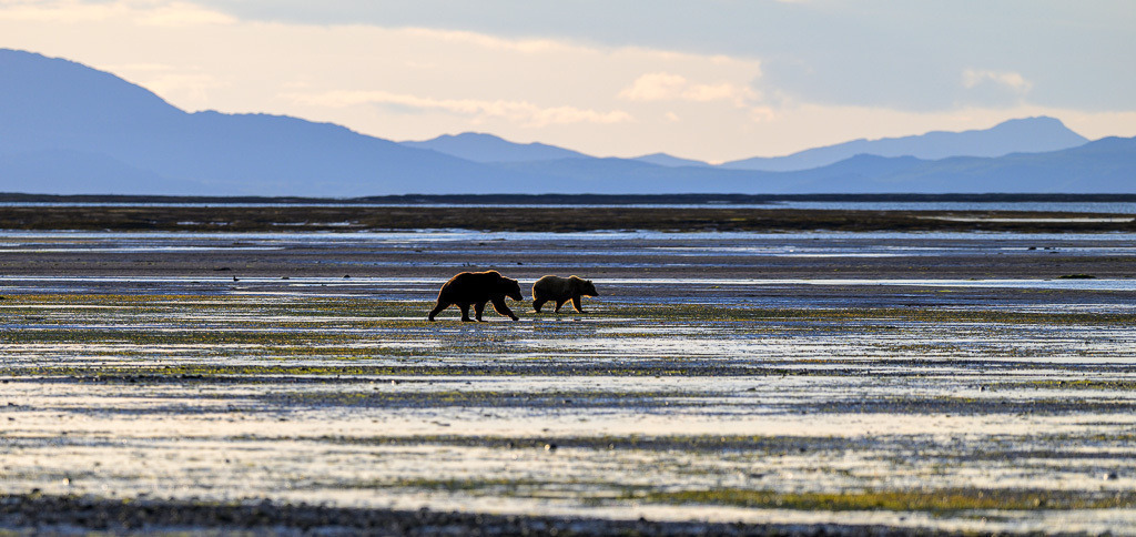 2025-499 | Der Online-Shop von Holger Rüdel. Ausgewählte Fotografien als FineArt-Prints bestellen: Bildreportagen, Landschaften, Wildlife, Infrarot-Motive in Schwarzweiß und Zeitgeschichte im Bild. - Realisiert mit Pictrs.com