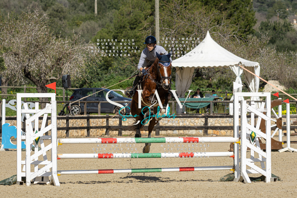 IMG_6551 | s-jay-photography - Realisiert mit Pictrs.com