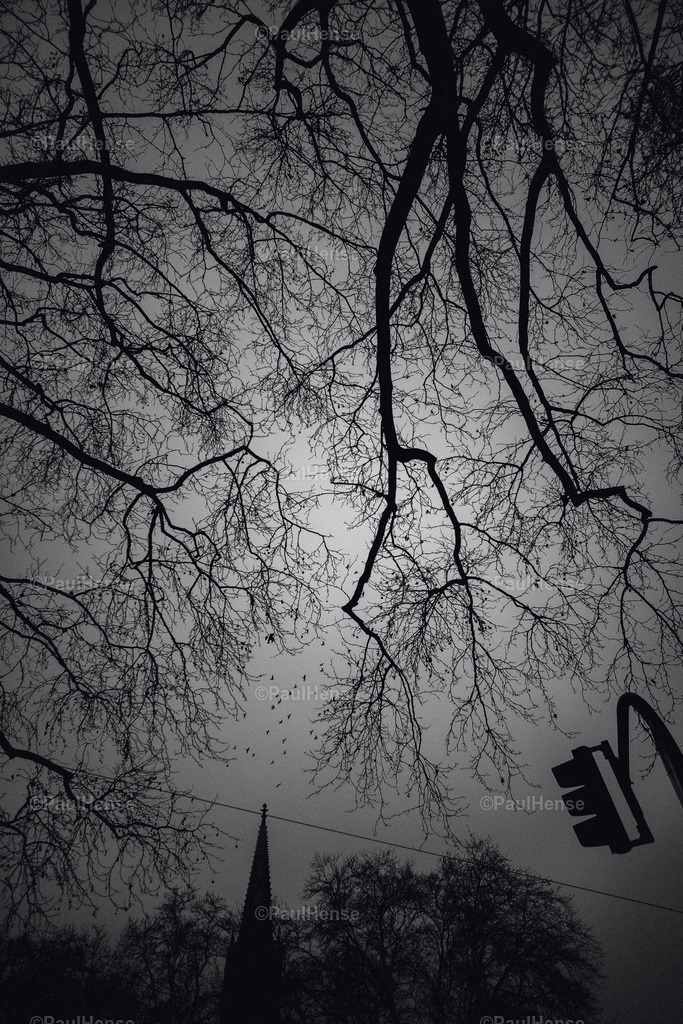 20230126_PaulHense_S0001_DSC03574 | paulhense - Realisiert mit Pictrs.com