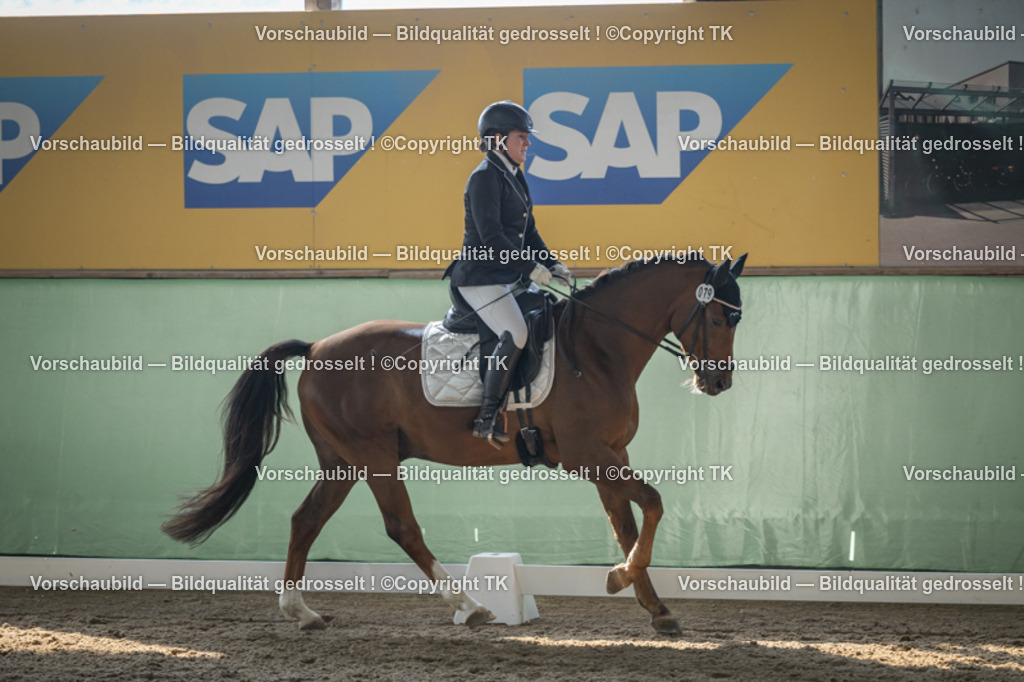 _D5A8439 | Emotionale Pferde- & People-Fotografie rund um Heidelberg, Leimen & Umgebung. Natürliche Fotos von Pferd, Mensch & Familie. Jetzt Termin sichern!