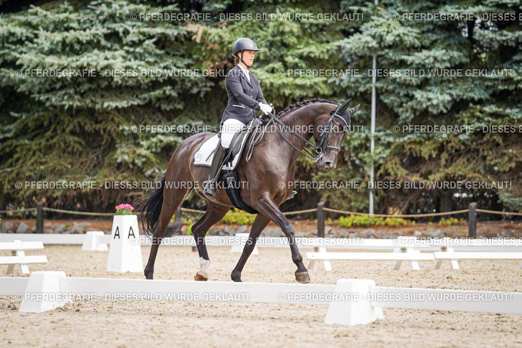 DSC02979 | Pferdegrafie