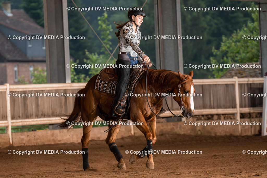 Erbach Tag 3-861 | dv-media-shop - Realisiert mit Pictrs.com