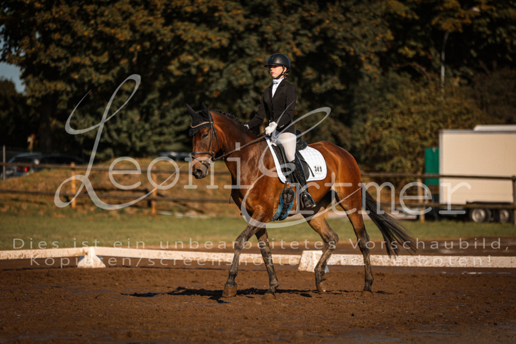 13.SoDrA100411 | Leoni Ertmer Photography - Realisiert mit Pictrs.com