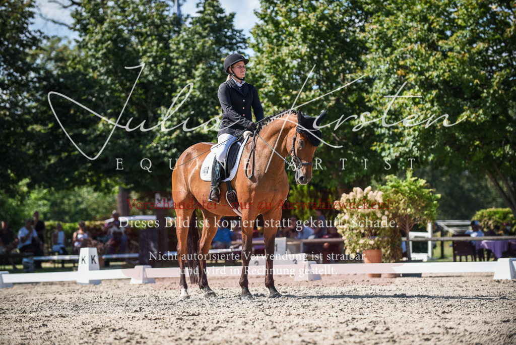 DSC_9659 | Pferde- und Turnierfotografie in Westsachsen. Pferdeportraits, Auftragszeichnungen und intuitive Kunst.