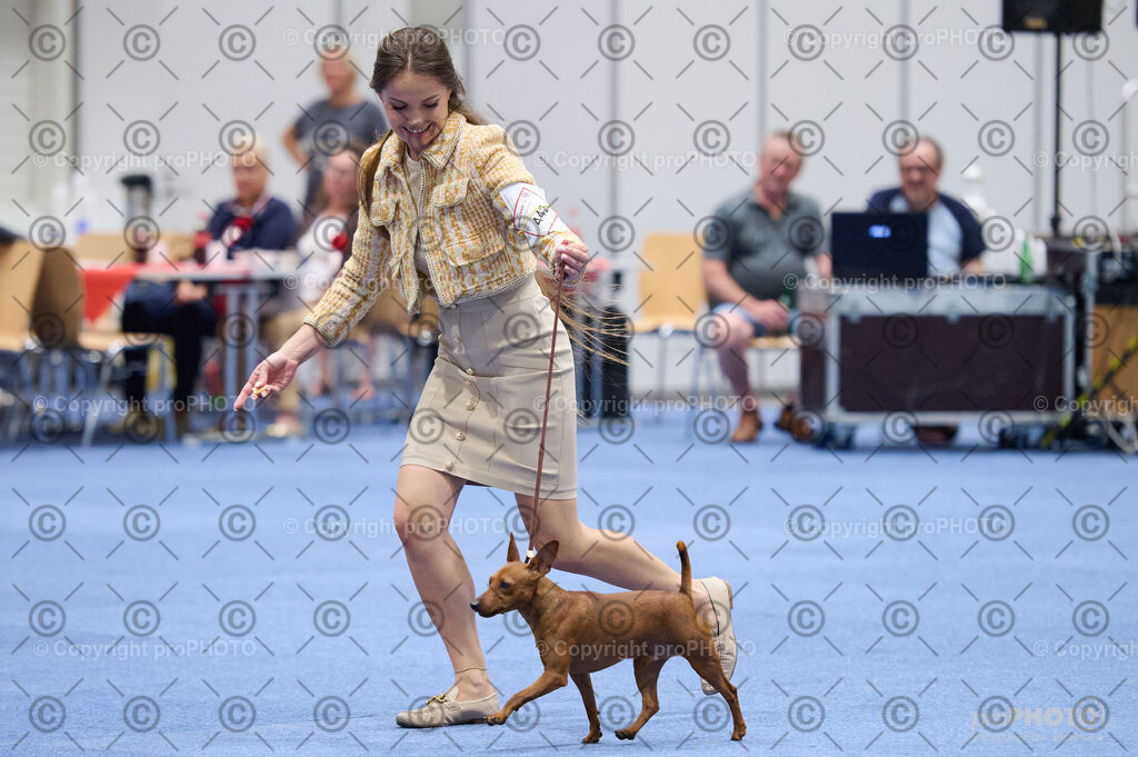 202406_ÖKV-IHA-Tulln24_DSC_2929 | proPHOTO - Realisiert mit Pictrs.com