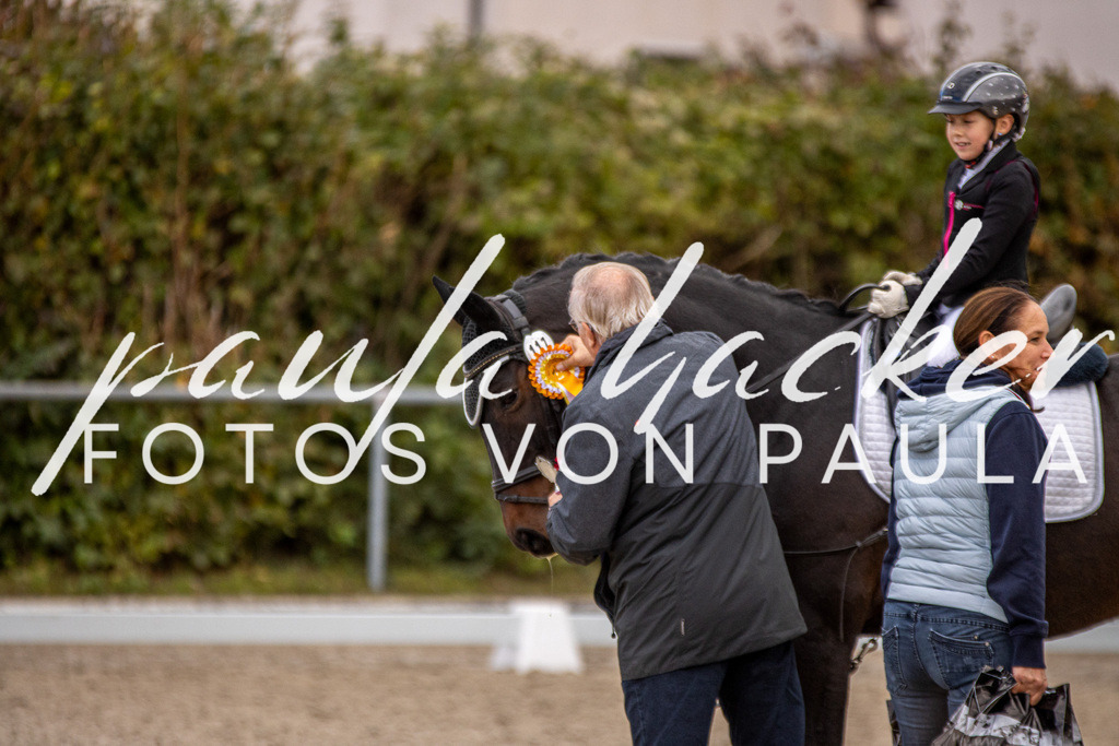 IMG_3599 | Erleben Sie dynamische Sport- und emotionale Tierfotografie in Süddeutschland mit Fotos von Paula. Spezialisiert auf Pferde- und Hundefotografie sowie Sportevents. Kontaktieren Sie mich für einzigartige und ausdrucksstarke Bilder Ihrer besonderen Momente. - Realisiert mit Pictrs.com