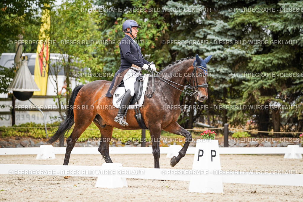 DSC05064 | Pferdegrafie