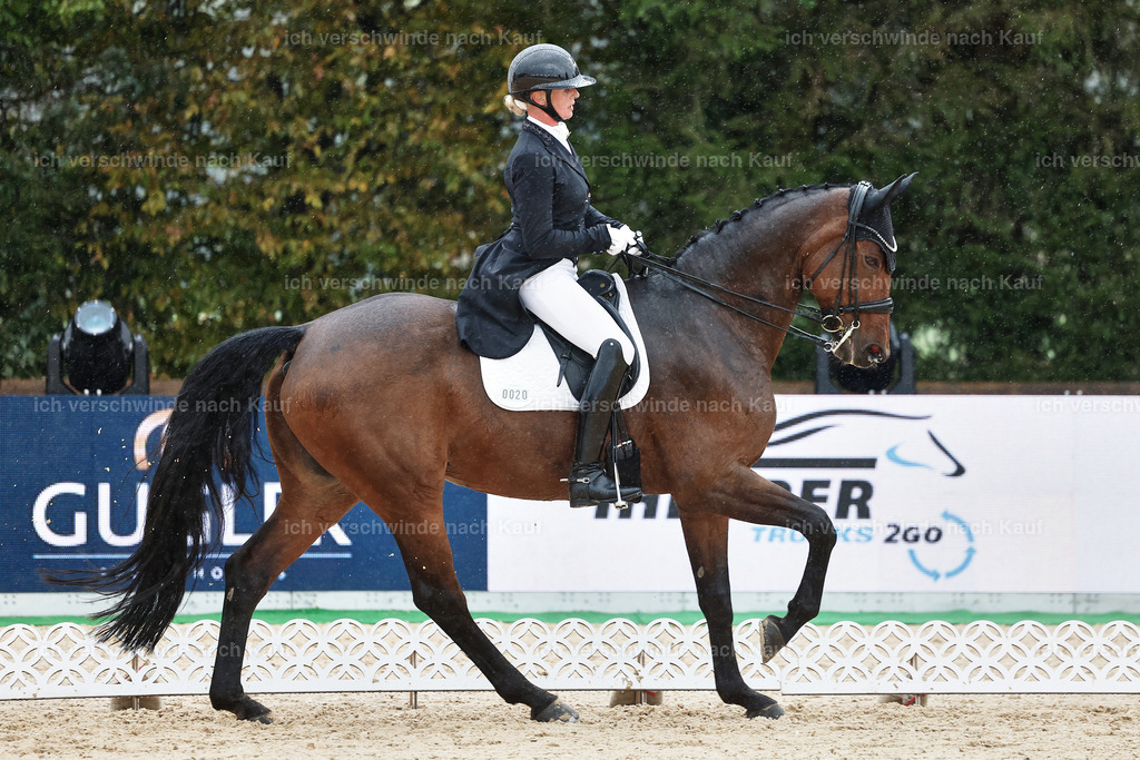 8_1-020-Klasse S_  -StoibPH-3997 | working equitationturnier fotograf videograf stoibphotography marixx film working equitation deutschland reitsport turnierfotografie eventfotografie equestrian events