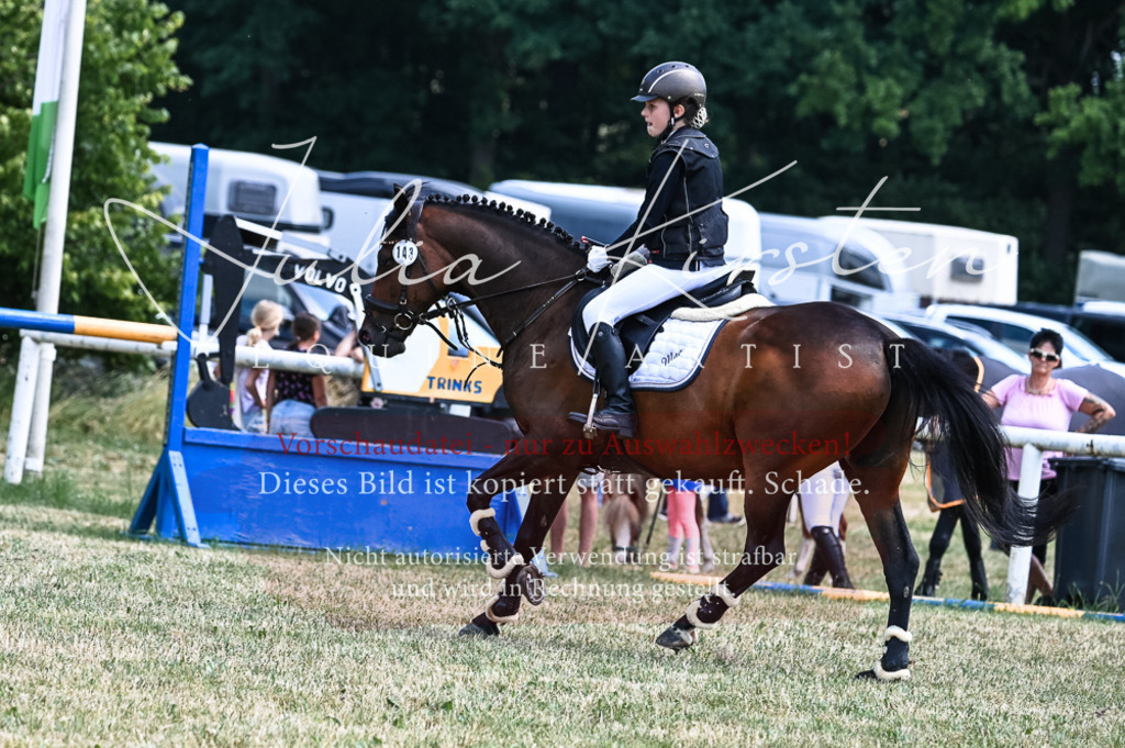 DSC_9643 | Pferde- und Turnierfotografie in Westsachsen. Pferdeportraits, Auftragszeichnungen und intuitive Kunst.