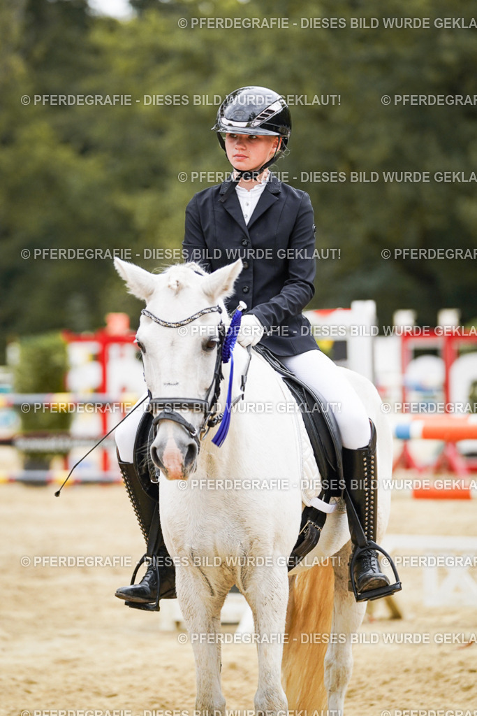 DSC06246 | Pferdegrafie