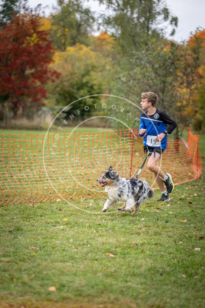 Pfotenfotografie_DV3A1923 | Hundefotografie, Tierfotograf, Pfotenfotografie, Fotoshooting Hund, Hunde Portrait, Hundesport, Hundeportraits, Heideshooting, Hunde, Sportfotograf, Hundefotograf, Turnierhundsport, THS,  - Realisiert mit Pictrs.com