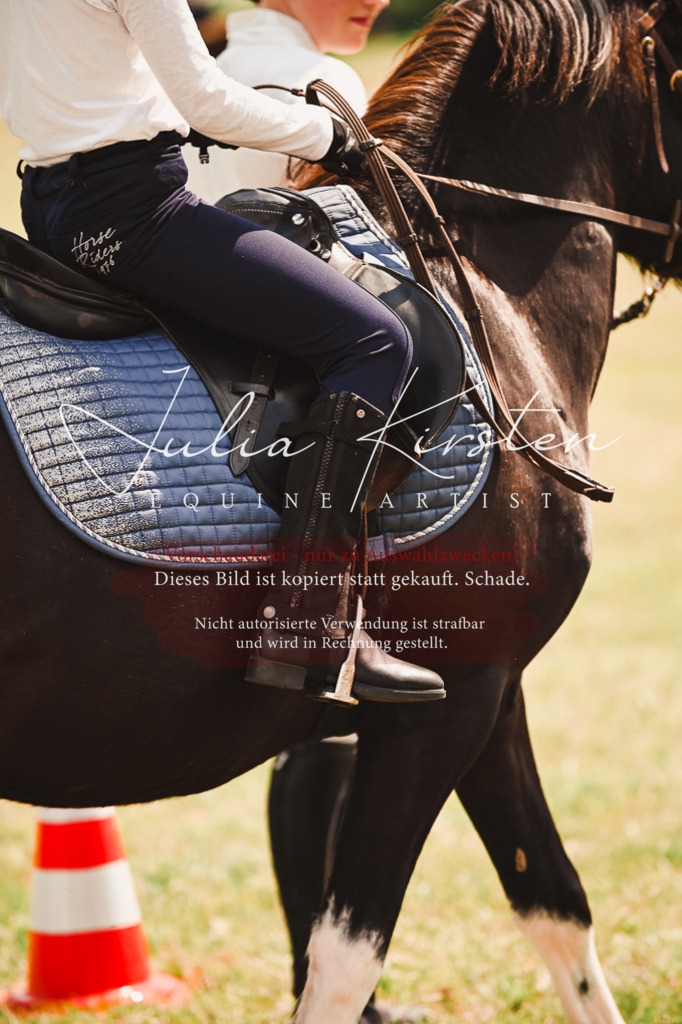 DSC_6693 | Pferde- und Turnierfotografie in Westsachsen. Pferdeportraits, Auftragszeichnungen und intuitive Kunst.