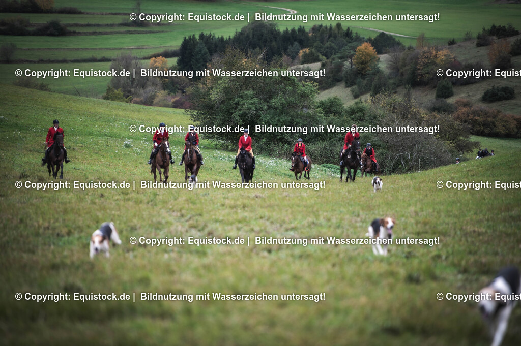 20241013_Jagd-Marbach_0210 | Foto: Thomas Hartig