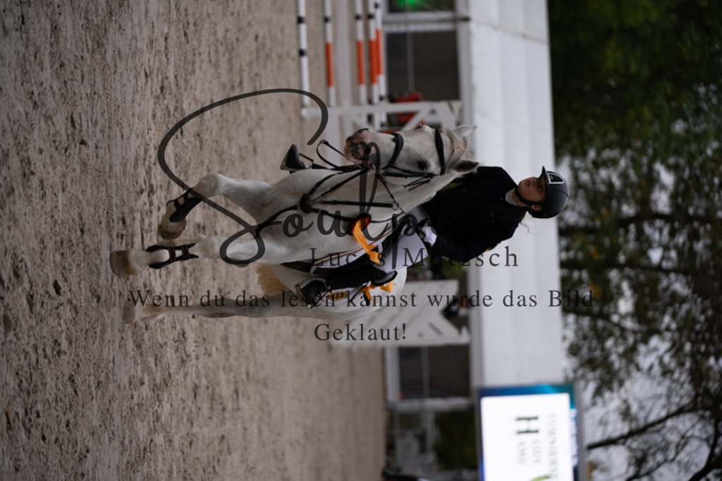 A7V09852 | Turnier/Reitfotograf