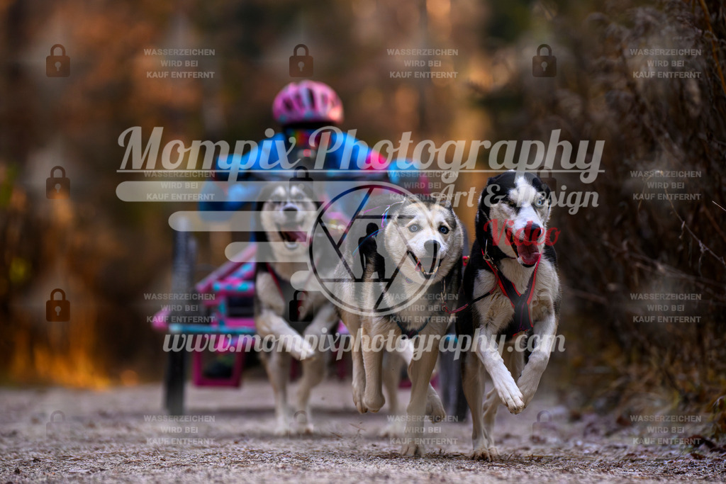 MompixPhotography_DM_AKDM_SO_2025_Wagen-57 | PayLife