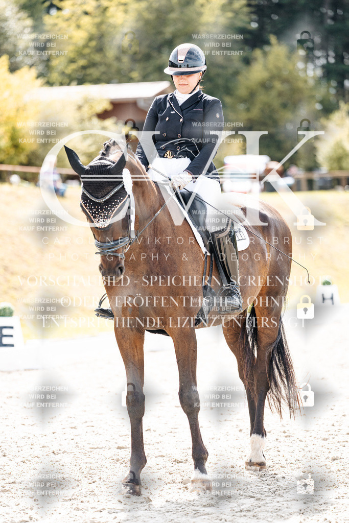 CK900985 | Turnierfotografie Pferdefotografie Trier Rheinland-Pfalz Pferdesport Reitsport Tierfotografie Sportfotografie Pferdevideo Pferdevideografie Equestrianvideography equestrianphotography  - Realisiert mit Pictrs.com