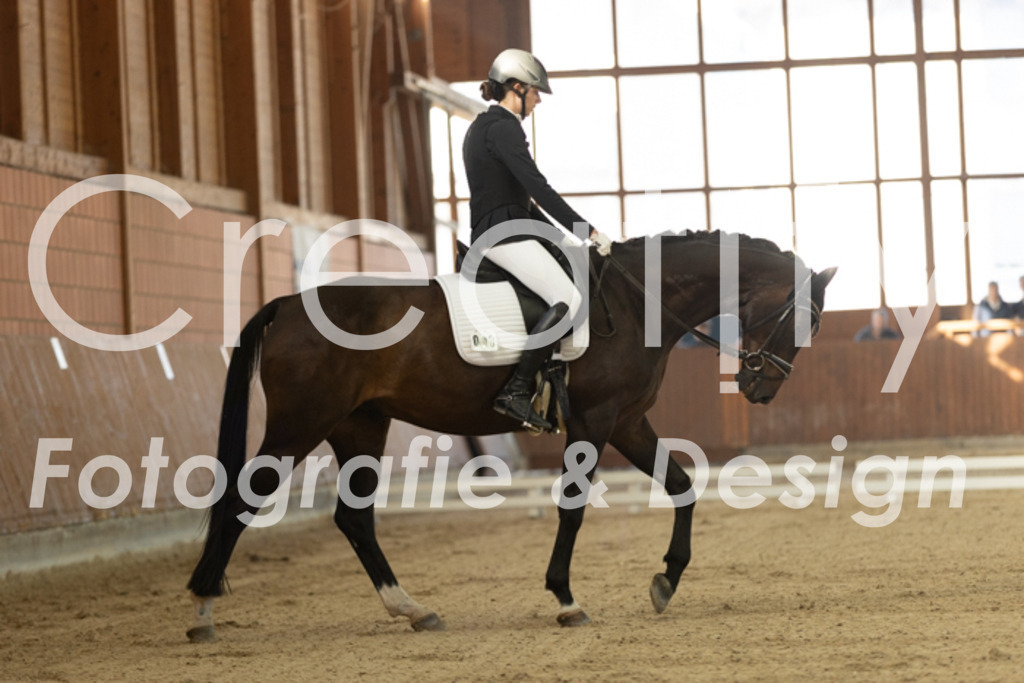 IMG_7938 | Creatify Fotografie