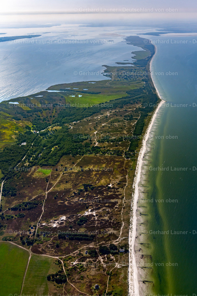 4061555 | INSEL HIDDENSEE 08.09.2021 Heide- Landschaft Dünenheide an Ostseeküste der Insel Hiddensee im Bundesland Mecklenburg-Vorpommern. // Heathland landscape Duenenheide in Insel Hiddensee in the state Mecklenburg - Western Pomerania. Foto: Gerhard Launer