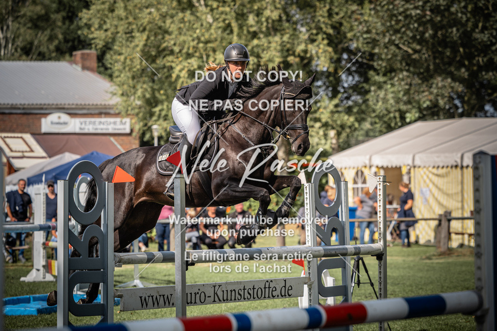 nelerasche_SprL115Ede_76 | nelerasche