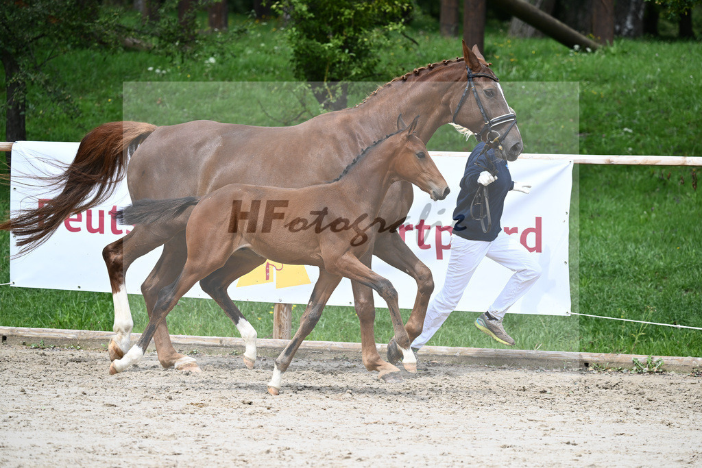 Kat-Nr. 17 HF Franklin_Hindrichs_25230555 | hf-fotografie - Realizzato con Pictrs.com
