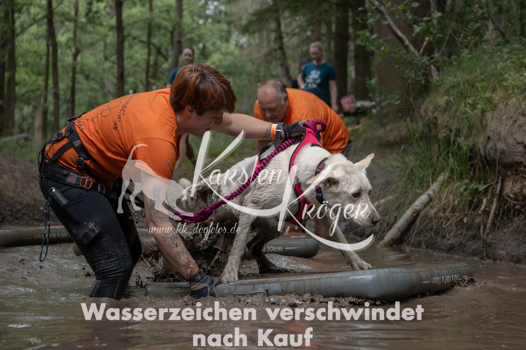 1346_ZZ95814 | kk-dogfotos