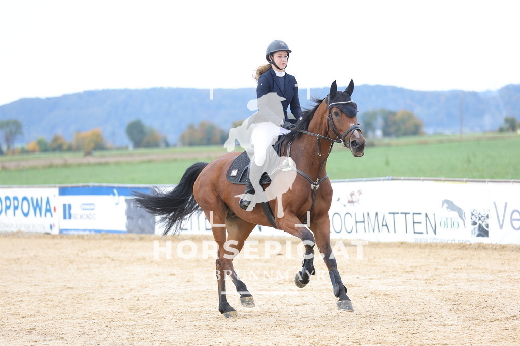 0P6A8828 | Willkommen bei Brunnmayr - Design & Fotografie – Ihrem Spezialisten für Reitturniere und Pferdeveranstaltungen in Oberösterreich, Salzburg und Bayern! Seit über 17 Jahren sind wir leidenschaftlich dabei.