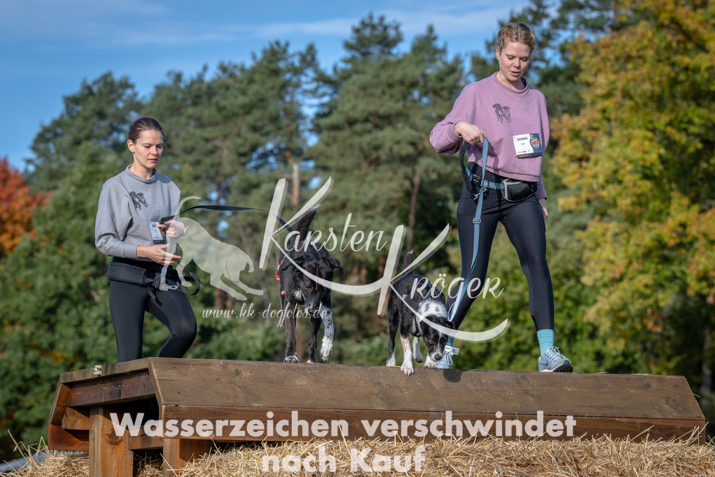 1007_ZZ92364 | kk-dogfotos