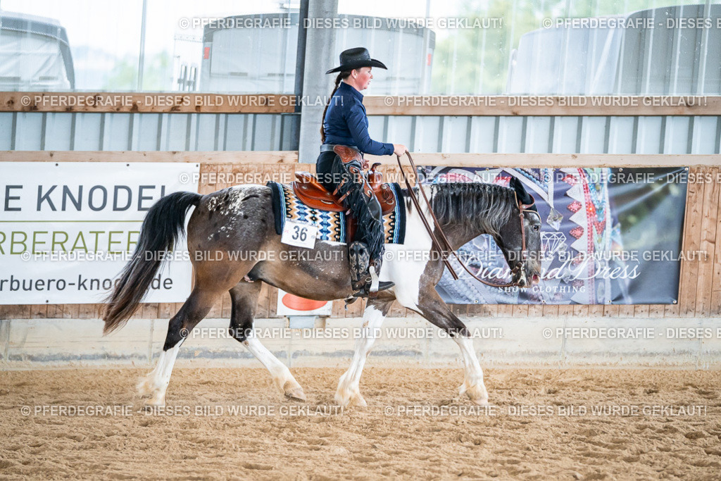 DSC02823 | Pferdegrafie