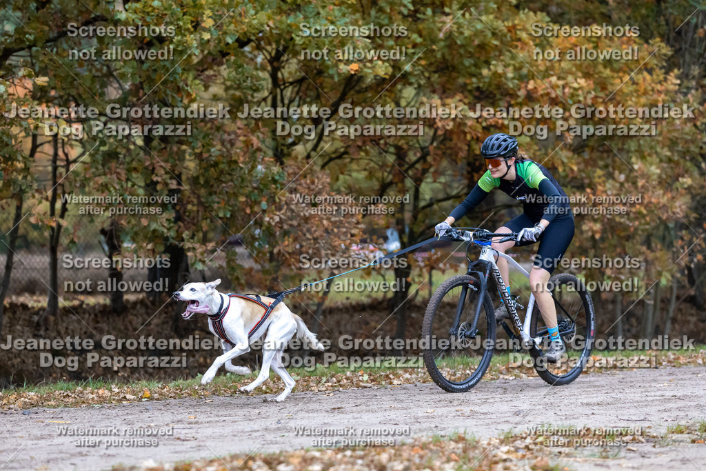 Dog Paparazzi - SD CaniX Championship 2025-78 | Dog Paparazzi Jeanette Grottendiek Fotografie & Videografie - Realisiert mit Pictrs.com