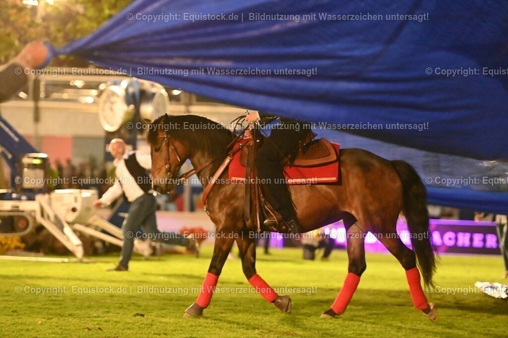 20230526_Pferdenacht_1076 | equistock