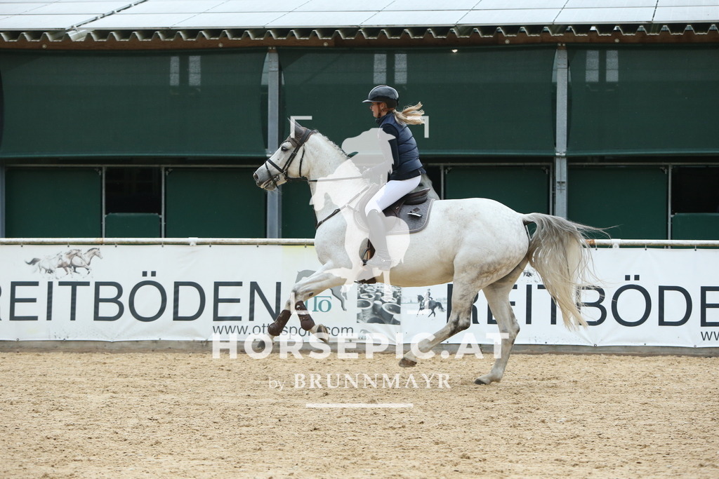 DL2Q7730 | Willkommen bei Brunnmayr - Design & Fotografie – Ihrem Spezialisten für Reitturniere und Pferdeveranstaltungen in Oberösterreich, Salzburg und Bayern! Seit über 17 Jahren sind wir leidenschaftlich dabei.