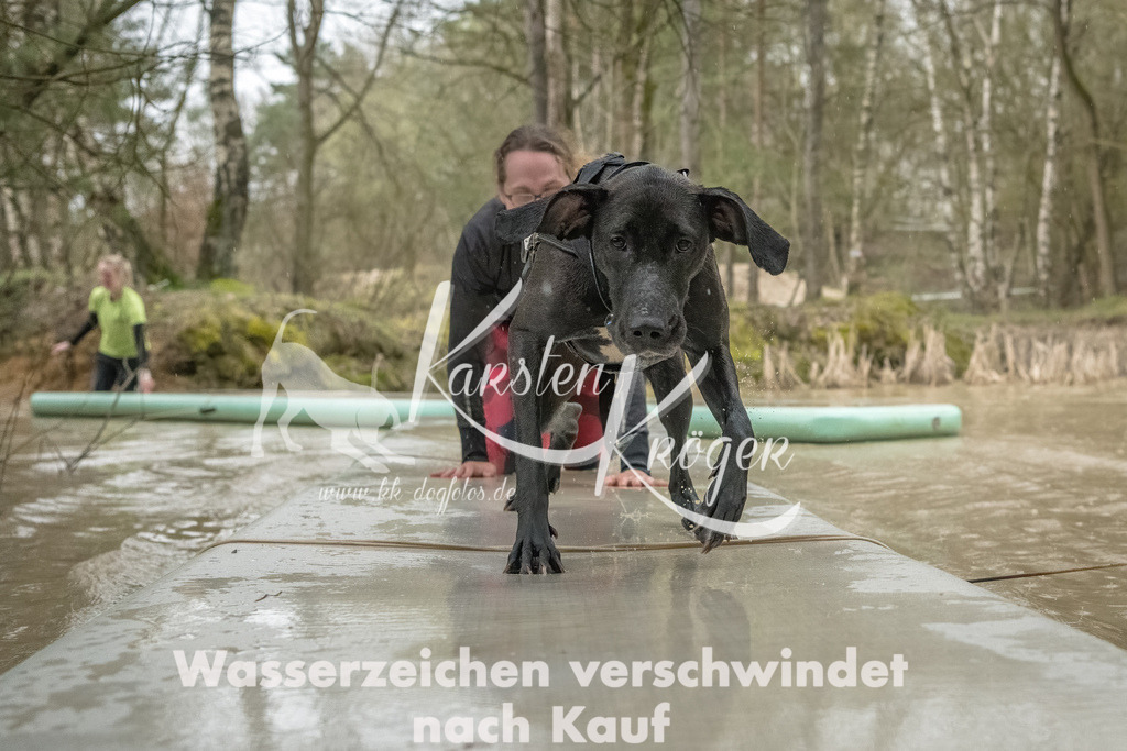 1042_ZZ93259-Bearbeitet | kk-dogfotos