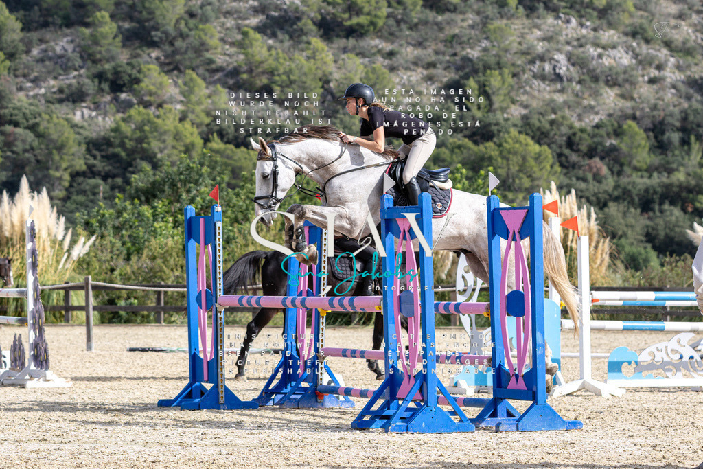 IMG_3346 | s-jay-photography - Realisiert mit Pictrs.com