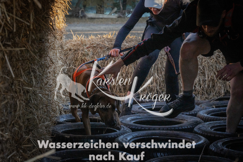 0929_ZZ93201 | kk-dogfotos