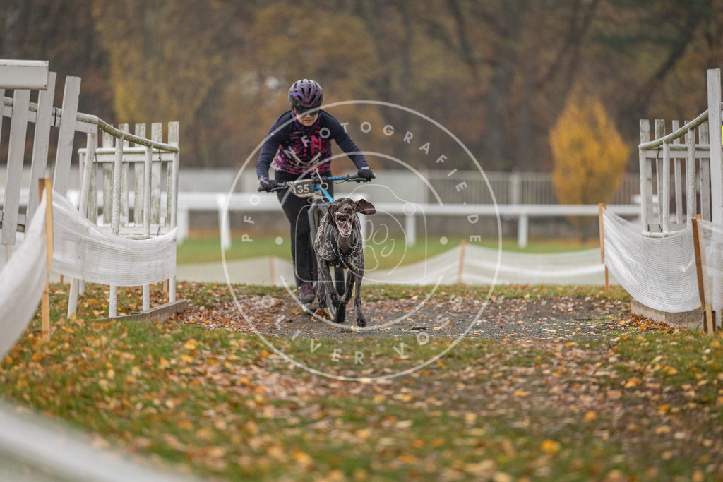 CaniXpix_DV3A7397 | Hundefotografie, Tierfotograf, Pfotenfotografie, Fotoshooting Hund, Hunde Portrait, Hundesport, Hundeportraits, Heideshooting, Hunde, Sportfotograf, Hundefotograf, Turnierhundsport, THS,  - Realisiert mit Pictrs.com