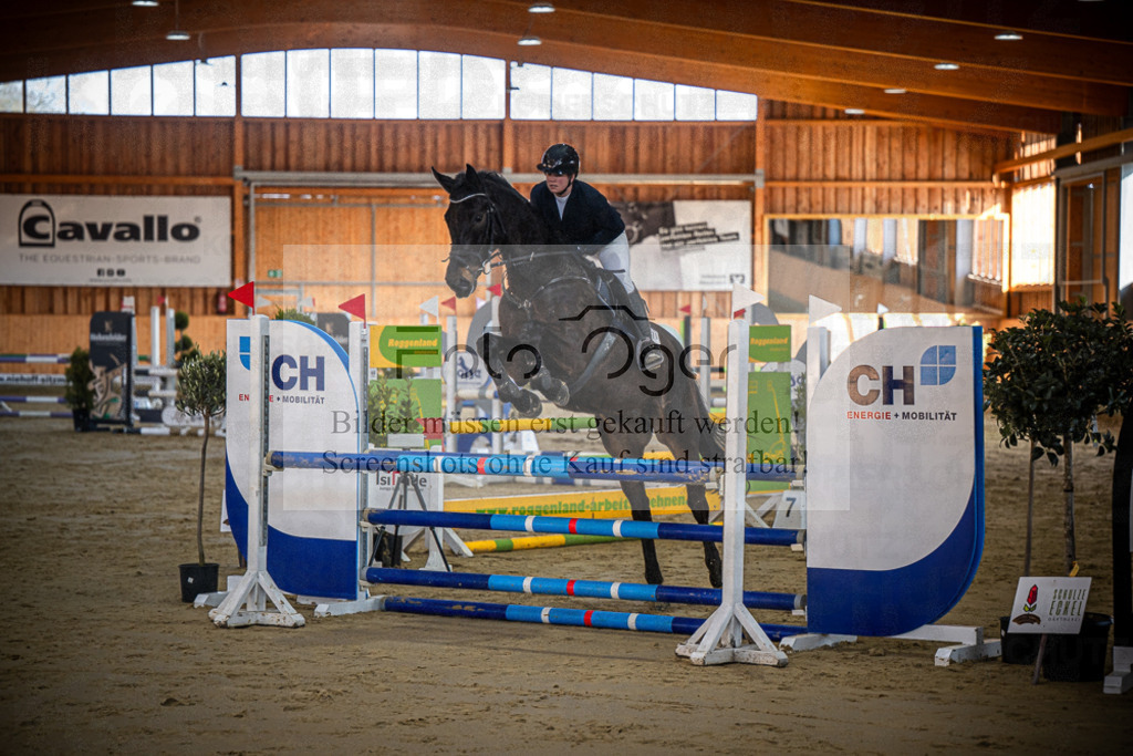 DOS_0080 | Entdecke hochwertige Reitturnierfotos von Foto Oger. Professionell, emotional und authentisch – jetzt Lieblingsmomente im Shop bestellen.Deutschlandweite Turnierfotografie. - Realisiert mit Pictrs.com