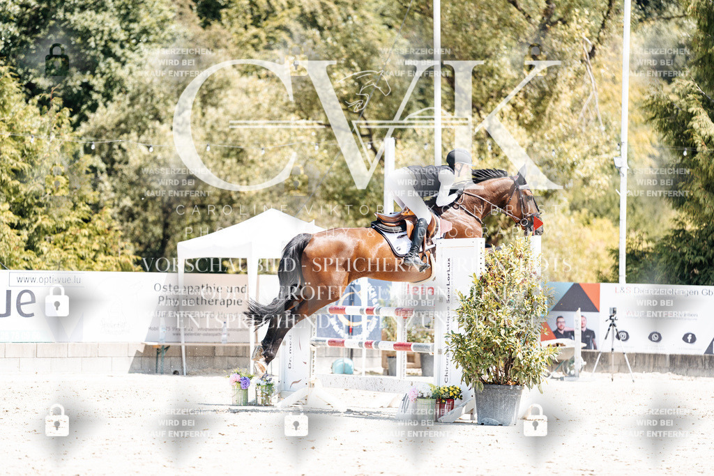 CK900473 | Turnierfotografie Pferdefotografie Trier Rheinland-Pfalz Pferdesport Reitsport Tierfotografie Sportfotografie Pferdevideo Pferdevideografie Equestrianvideography equestrianphotography  - Realisiert mit Pictrs.com
