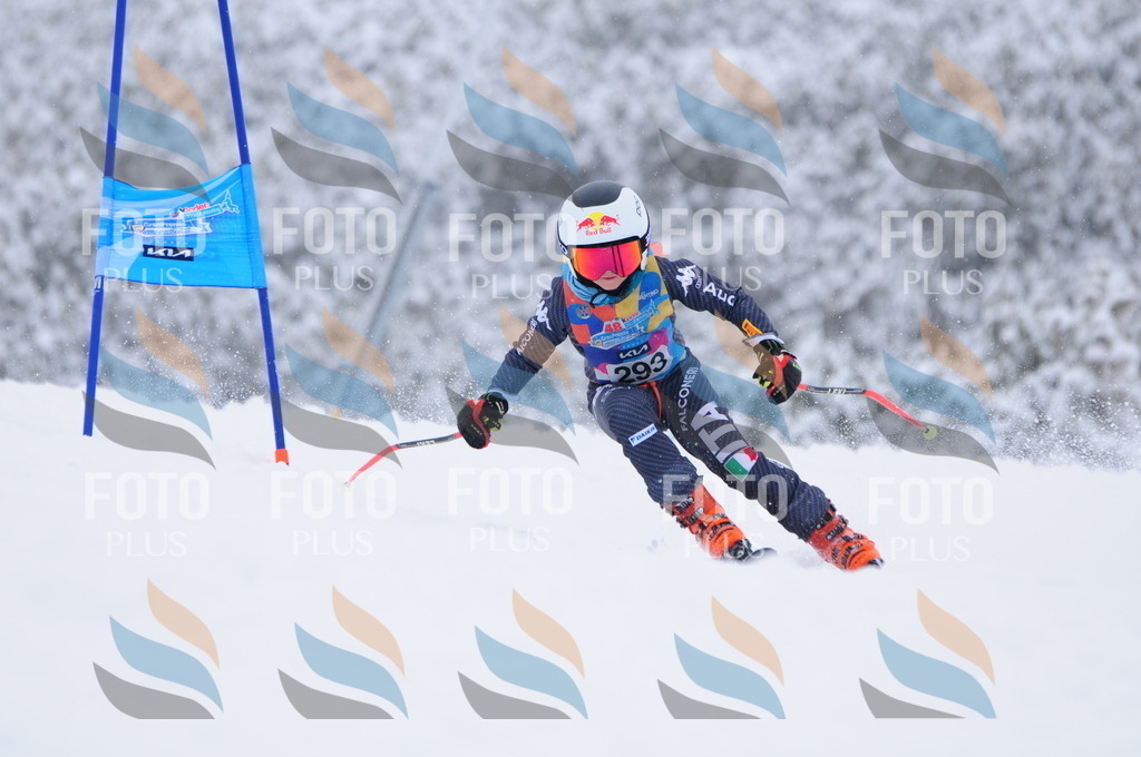 C3082 | holidayphoto