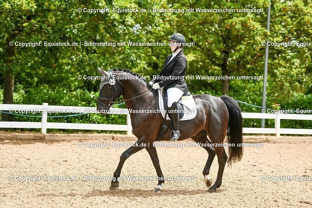 20230716_03_Dressurprfg. Kl.L - Tr._0182 | equistock