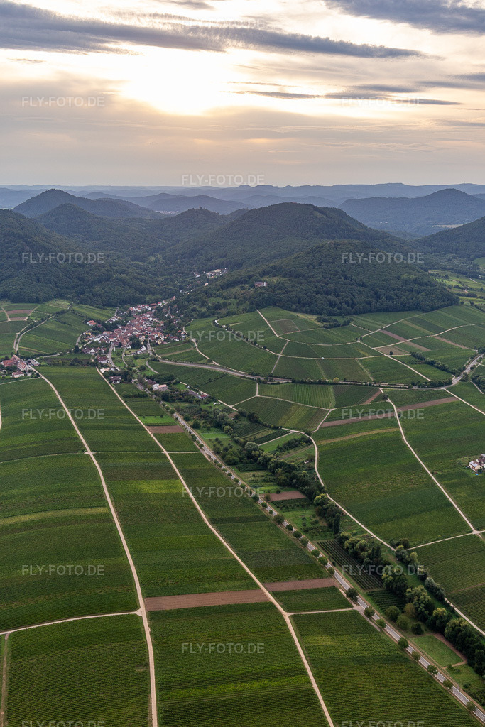 Luftbild: Weinbergs- und Rebstocks- Landschaft der Winzer- Gebiete in Leinsweiler im Bundesland Rheinland-Pfalz in Deutschland. Foto: IMG_128500.jpg vom 21.08.2021 durch Werner Riehm/FLY-FOTO.de