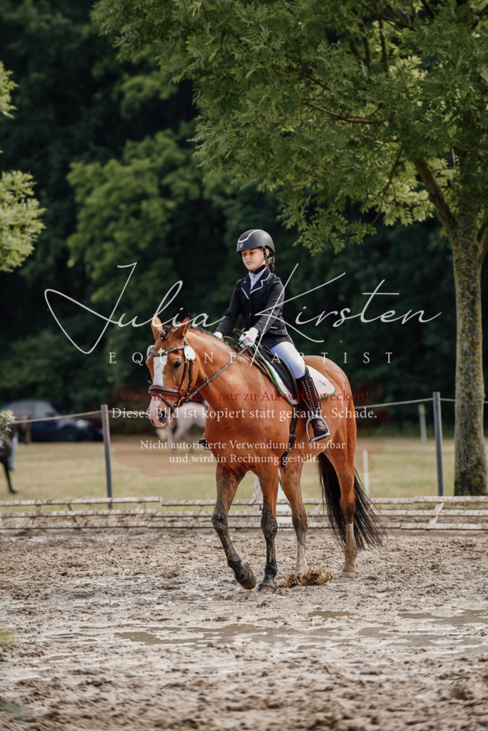 DSC_9100 | Pferde- und Turnierfotografie in Westsachsen. Pferdeportraits, Auftragszeichnungen und intuitive Kunst.