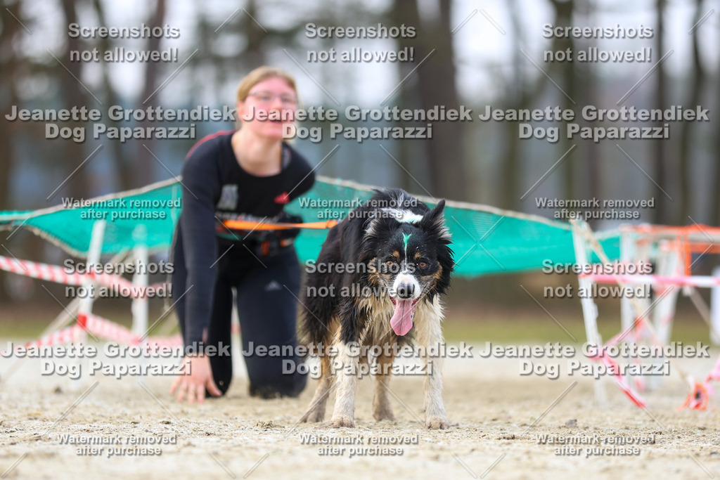 Dog Paparazzi - Strongdog North Mrz26-3961 | Dog Paparazzi Jeanette Grottendiek Fotografie & Videografie - Realisiert mit Pictrs.com