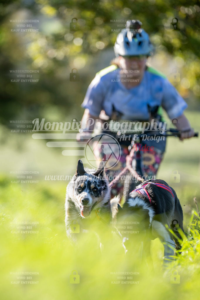 MompixPhotography_20TSB_E3_DS2-30 | PayLife