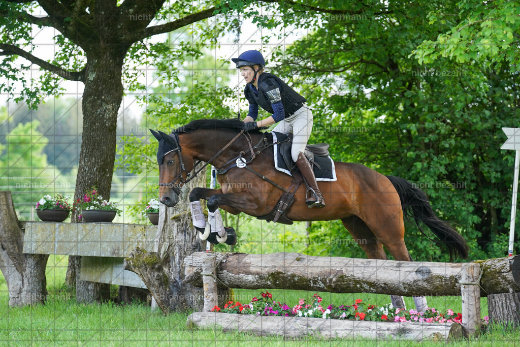 20240518-FAH04197 | Turnierbilder von Niederseon, Turnierfotografen Bayern, Fotoagentur Herrmann, Geländebilder, Reitsportfotografie