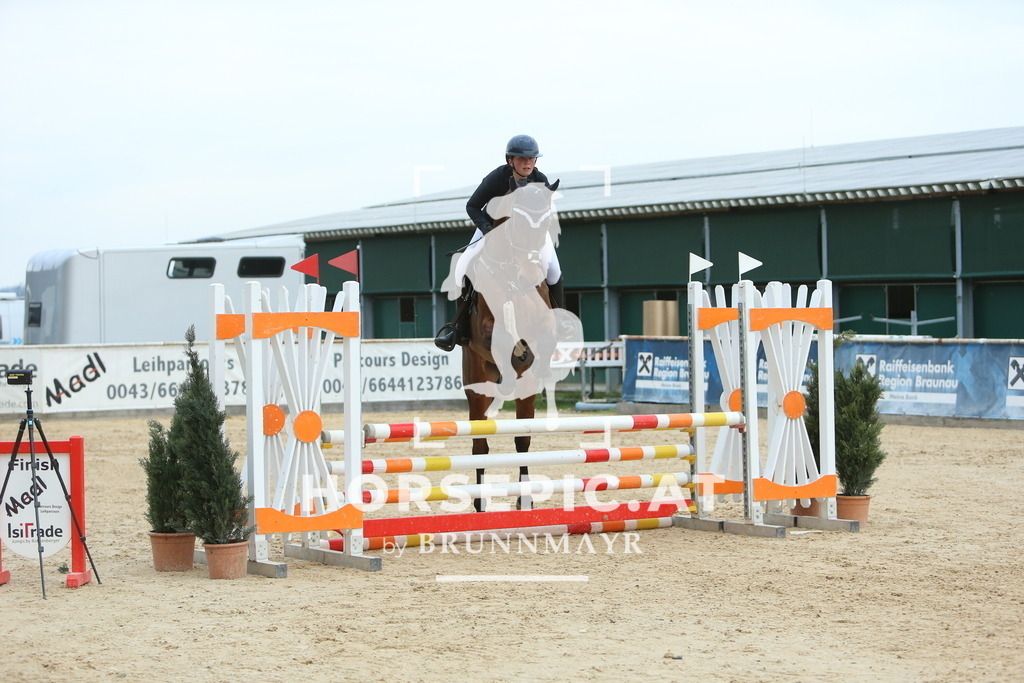 DL2Q2096 | Willkommen bei Brunnmayr - Design & Fotografie – Ihrem Spezialisten für Reitturniere und Pferdeveranstaltungen in Oberösterreich, Salzburg und Bayern! Seit über 17 Jahren sind wir leidenschaftlich dabei.