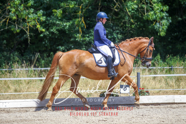 DKP46451 | Turniersportfotografie; Pferdefotografie; Dressurfotografie